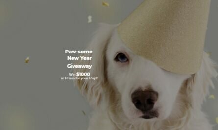 ZenPup Inc, Paw-Some New Year Giveaway